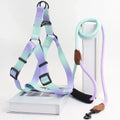 Stylish Pet Vest Harness and Leash Combo-My Little Pet