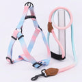 Stylish Pet Vest Harness and Leash Combo-My Little Pet