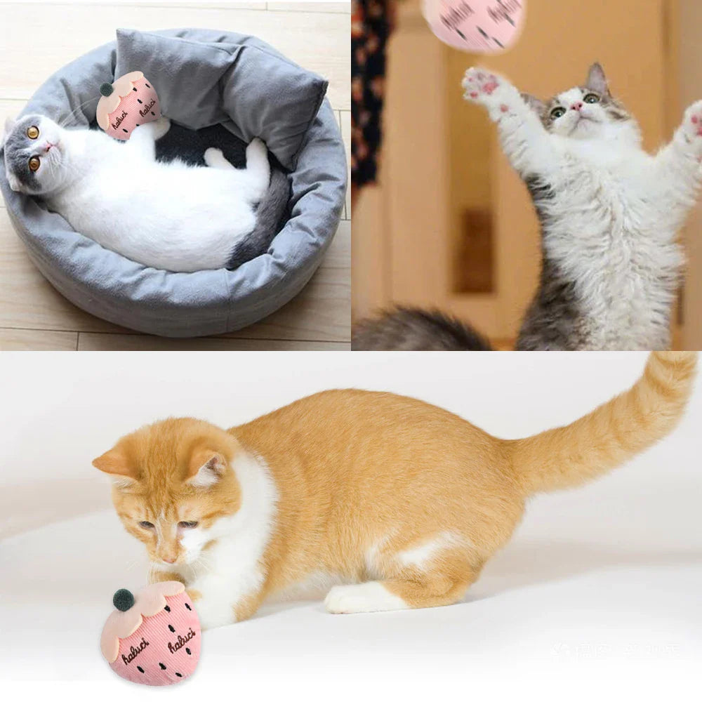 Interactive Catnip Toy for Cats - Soft Plush Chew Toy for Dental Health-My Little Pet