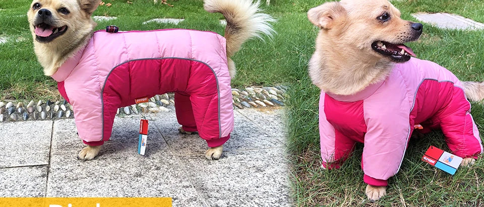 Winter Warm Jacket for Small to Medium Dogs - Waterproof & Reflective-My Little Pet