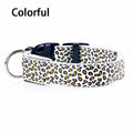 Leopard LED Adjustable Dog Collar - Night Safety Glowing Pet Collar-My Little Pet