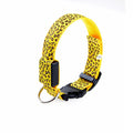 LED Nylon Dog Collar - Night Safety with Flashing Lights-My Little Pet