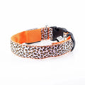 LED Nylon Dog Collar - Night Safety with Flashing Lights-My Little Pet