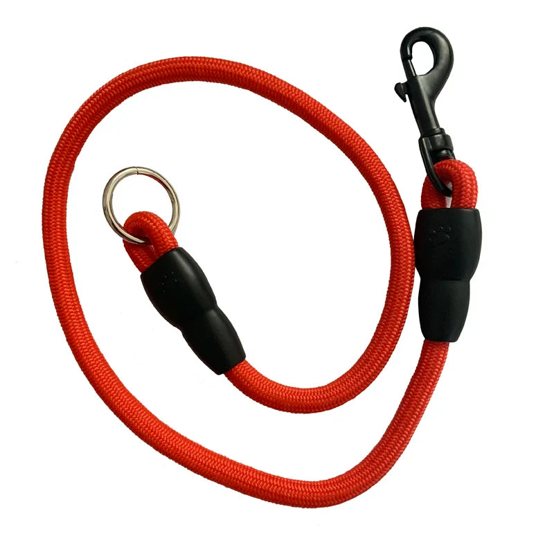 Dual-Head Nylon Dog Leash for Multiple Dogs-My Little Pet