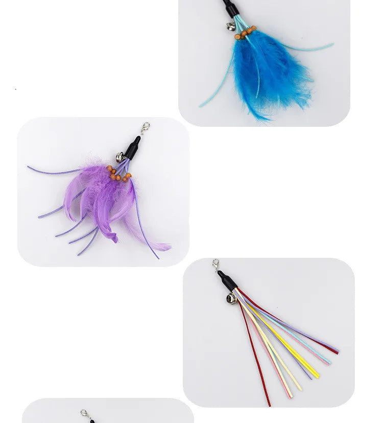 Retractable Cat Teaser Wand with Feather and Bell Attachments-My Little Pet