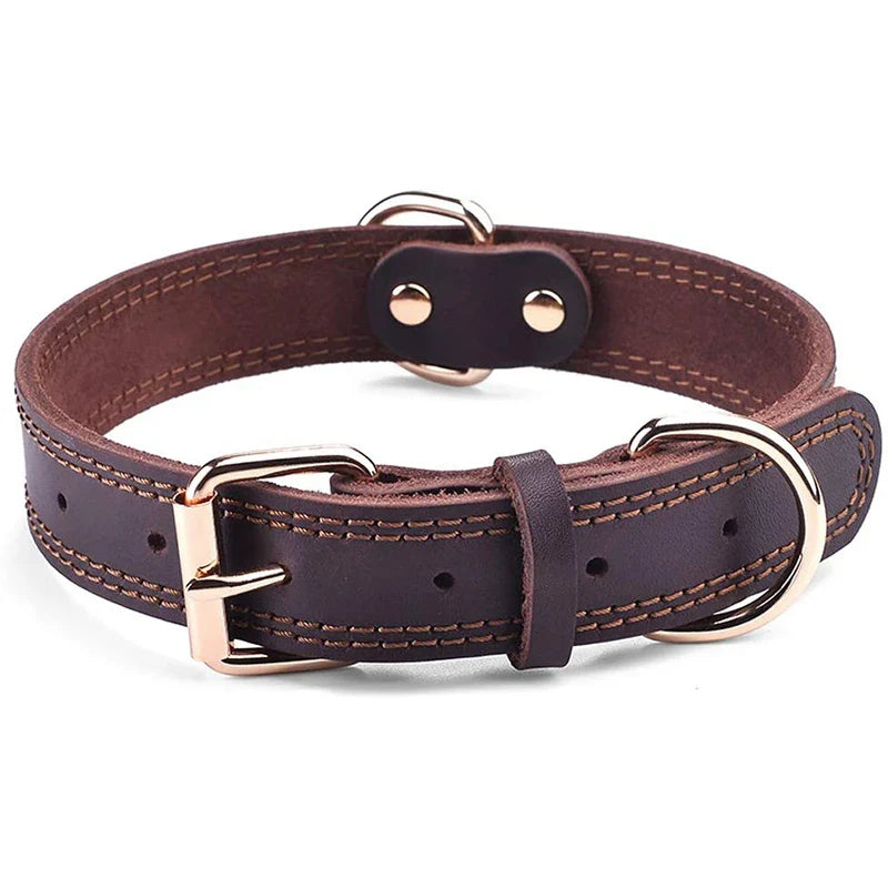 Benepaw Premium Leather Dog Collar for Medium and Large Dogs-My Little Pet