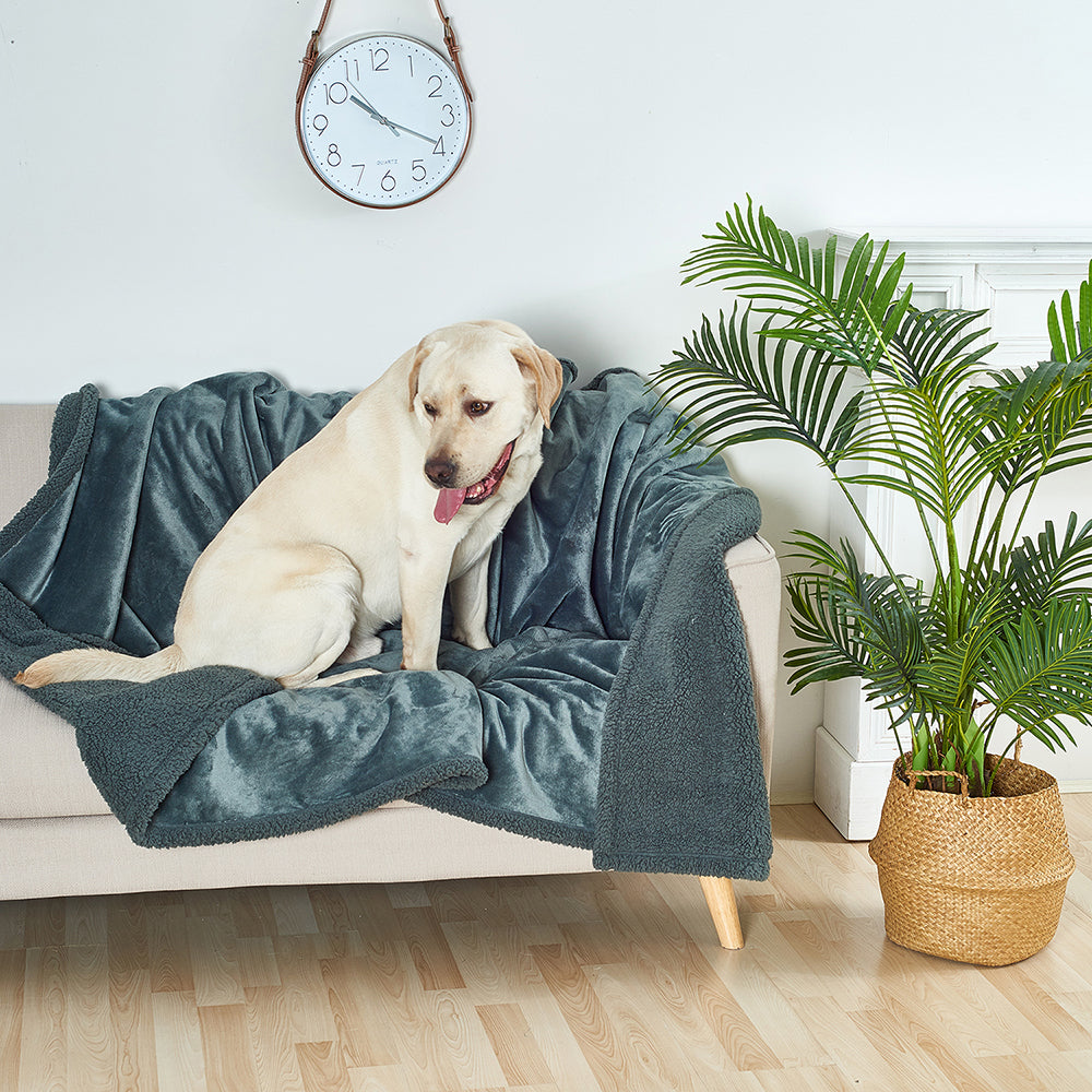 Reversible Waterproof Pet Blanket for Furniture Protection-My Little Pet