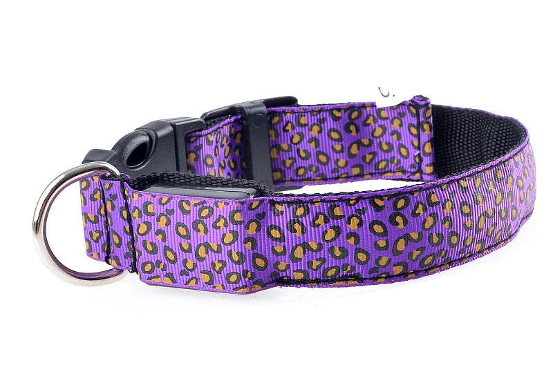 LED Nylon Dog Collar - Night Safety with Flashing Lights-My Little Pet