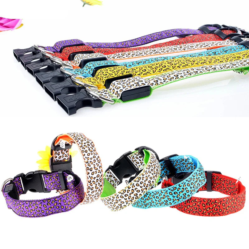 LED Nylon Dog Collar - Night Safety with Flashing Lights-My Little Pet