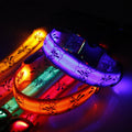 LED Safety Dog Collar - Night Visibility & Adjustable-My Little Pet