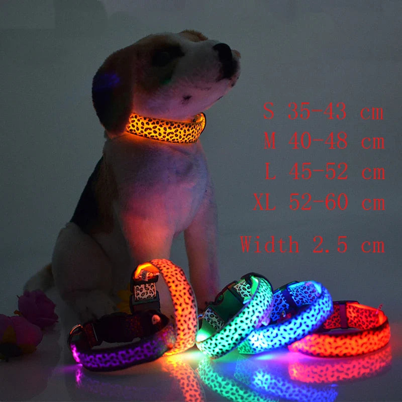 LED Nylon Dog Collar - Night Safety with Flashing Lights-My Little Pet