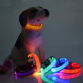 Leopard LED Adjustable Dog Collar - Night Safety Glowing Pet Collar-My Little Pet