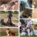 Tactical Dog Harness and Leash Set for All Dog Sizes-My Little Pet