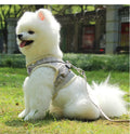 Reflective Nylon Dog Harness and Leash Set - Suitable for Small to Medium Breeds-My Little Pet