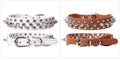 Stylish Leather Dog Collar with Punk Rivets-My Little Pet