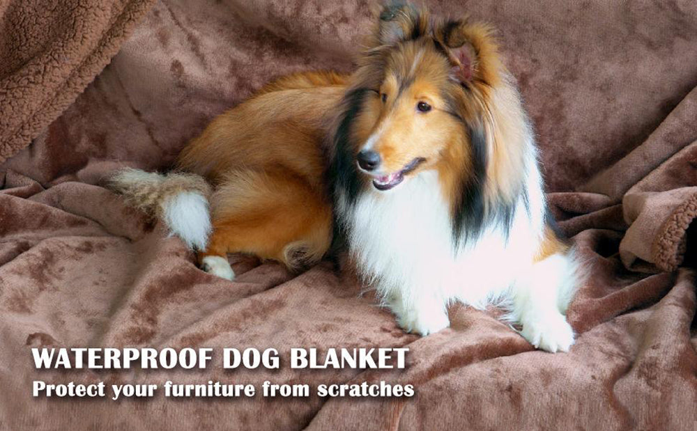 Reversible Waterproof Pet Blanket for Furniture Protection-My Little Pet