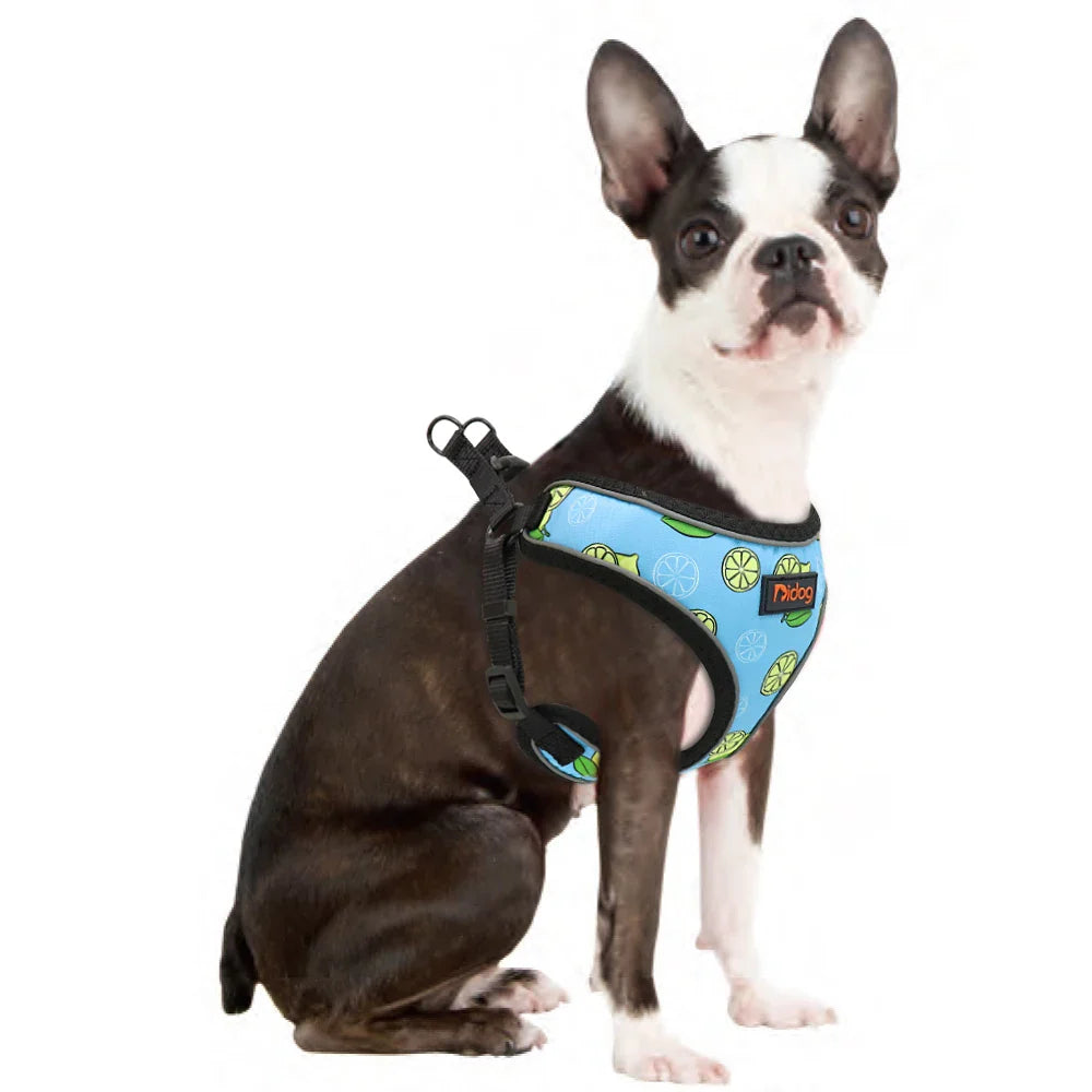 Reflective Nylon Harness Vest for Small to Medium Dogs and Cats-My Little Pet