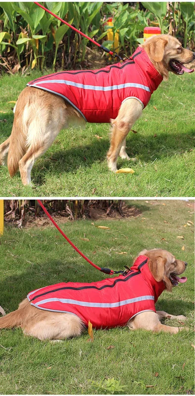 Reflective Waterproof Winter Dog Jacket for Large Breeds-My Little Pet