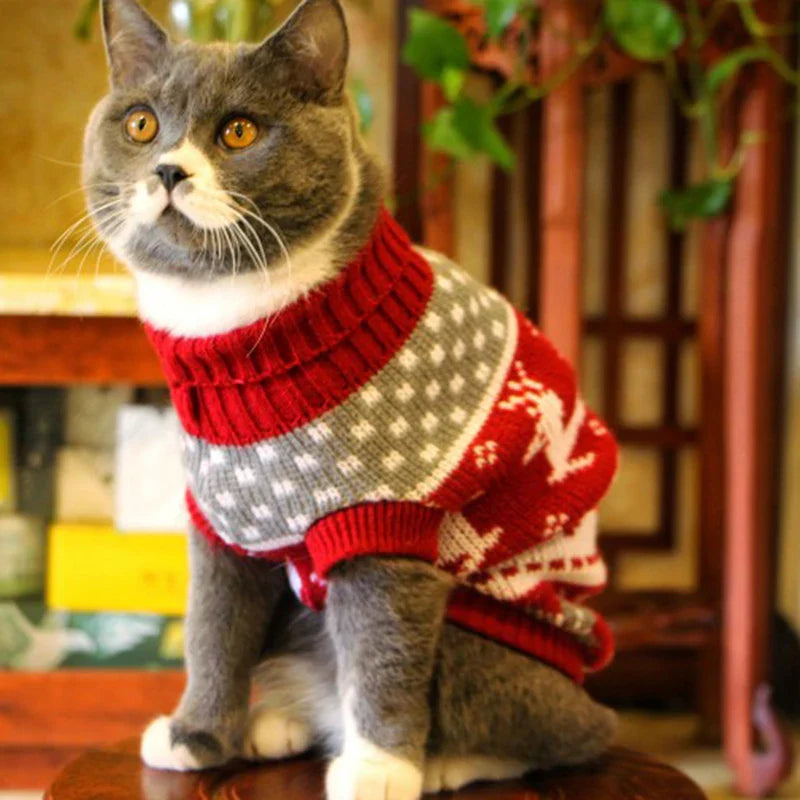 Adorable Winter Cat Sweater - Warm Pullover for Cats-My Little Pet