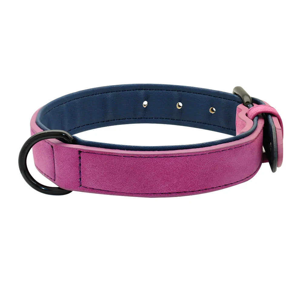 Premium Leather Dog Collar for Large Breeds-My Little Pet