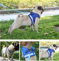 Reflective Nylon Dog Harness and Leash Set for Small to Medium Dogs and Cats-My Little Pet