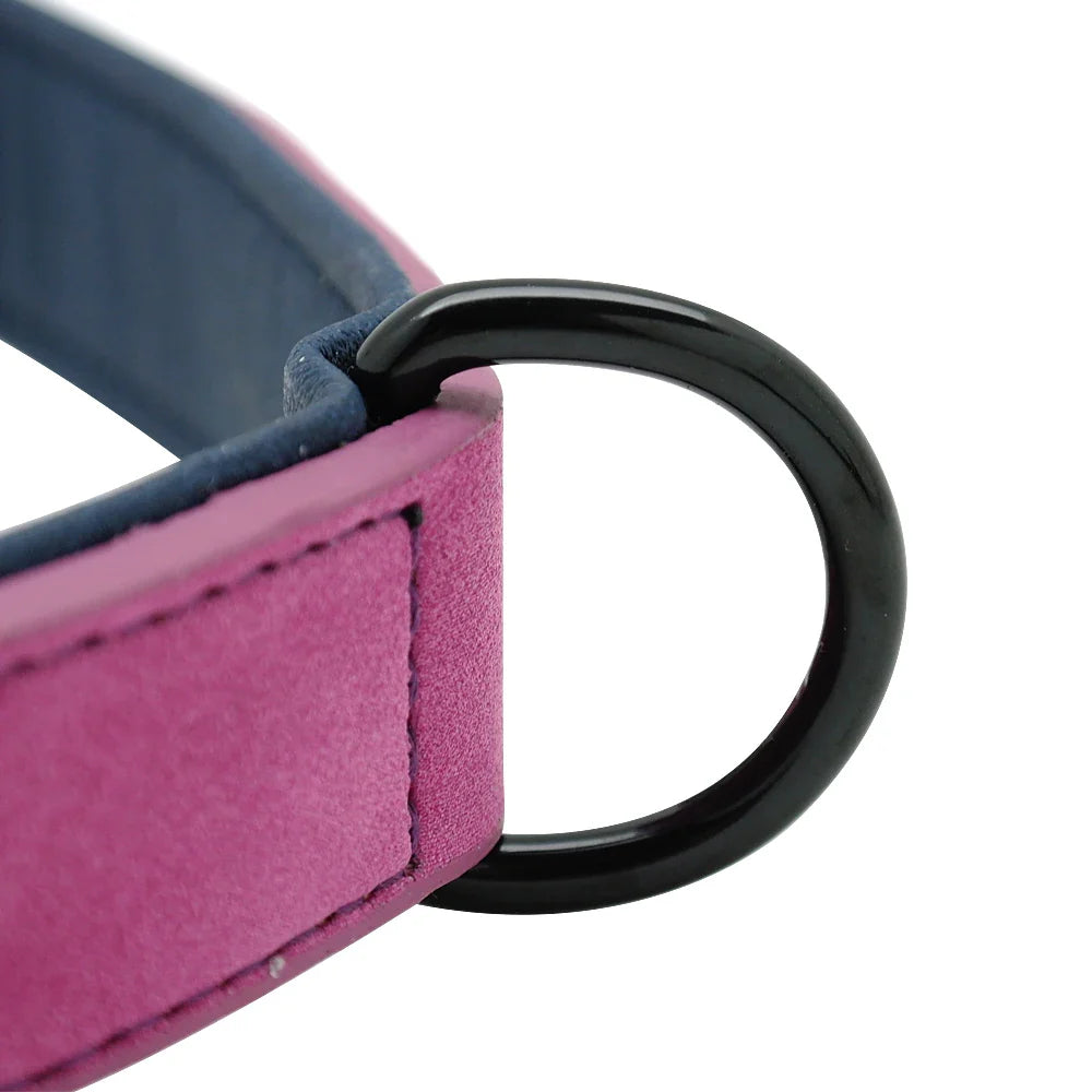 Premium Leather Dog Collar for Large Breeds-My Little Pet