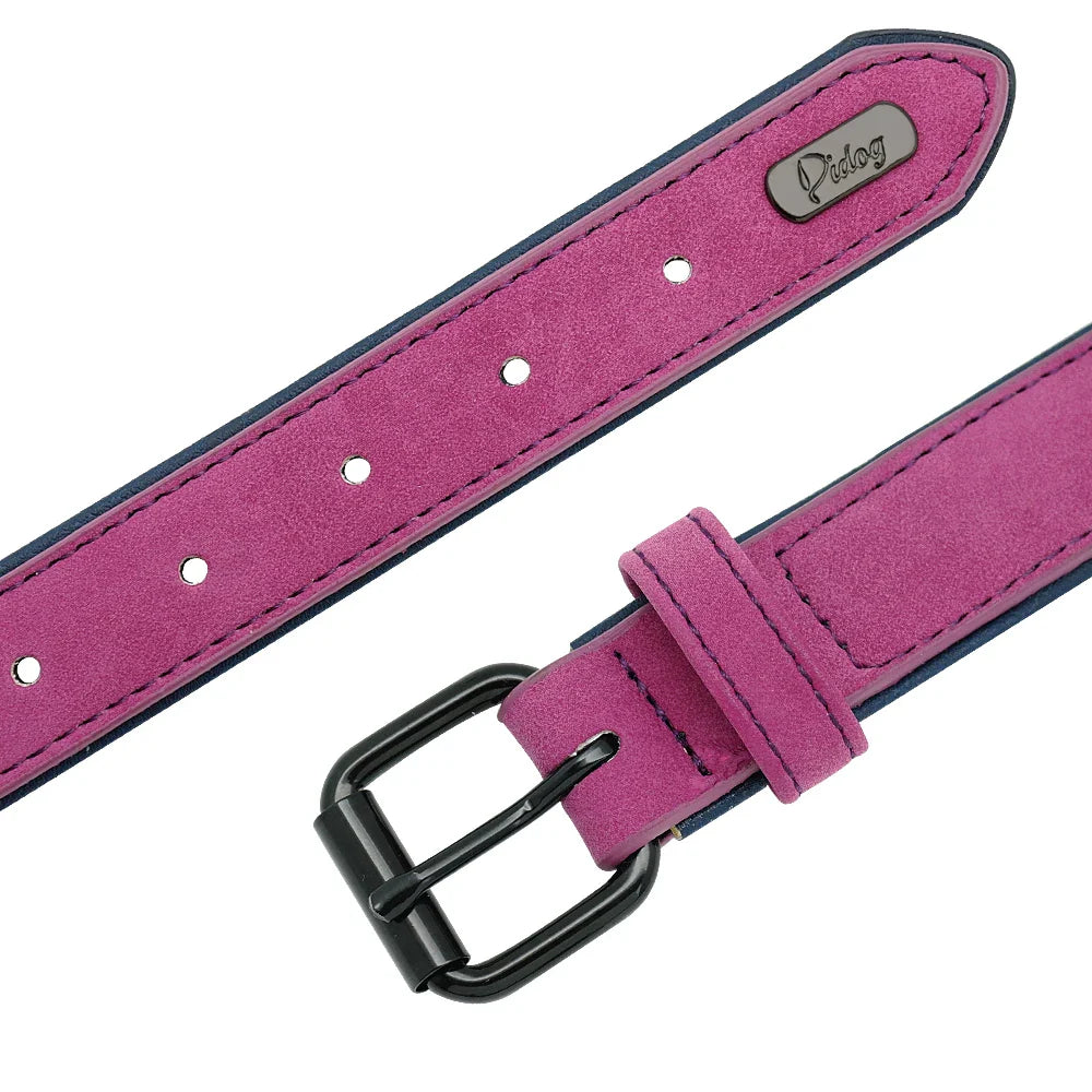 Premium Leather Dog Collar for Large Breeds-My Little Pet