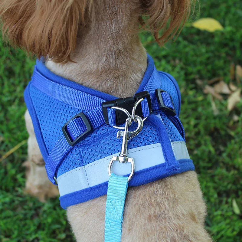 Reflective Nylon Dog Harness and Leash Set for Small to Medium Dogs and Cats-My Little Pet