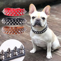 Stylish Leather Dog Collar with Punk Rivets-My Little Pet