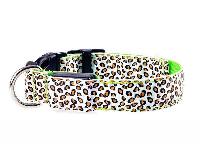 LED Nylon Dog Collar - Night Safety with Flashing Lights-My Little Pet