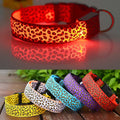 Leopard LED Adjustable Dog Collar - Night Safety Glowing Pet Collar-My Little Pet