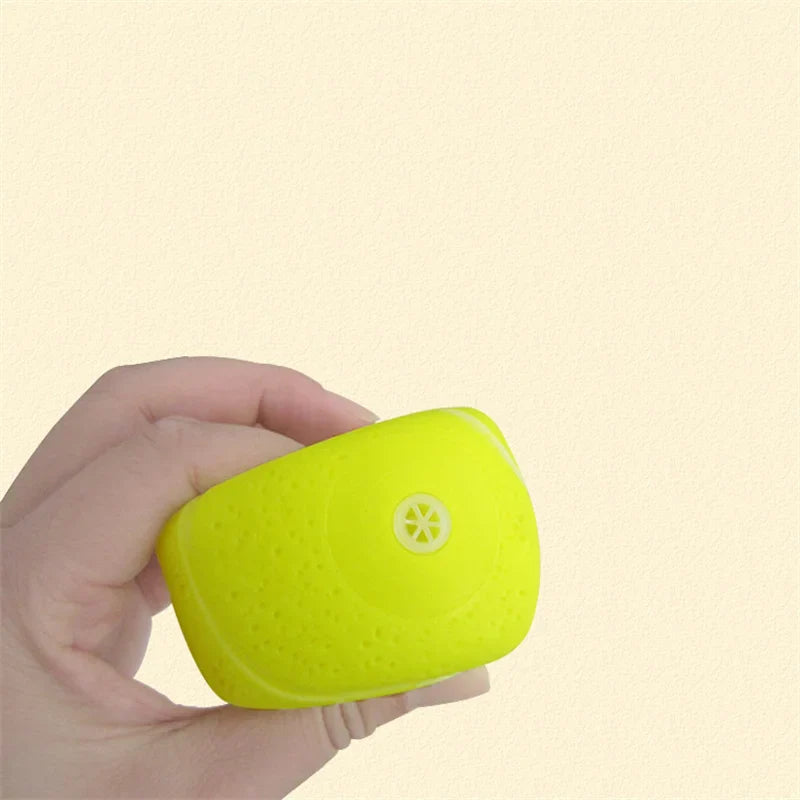 Interactive Squeaky Rubber Ball for Small Dogs-My Little Pet