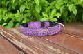 Leopard LED Adjustable Dog Collar - Night Safety Glowing Pet Collar-My Little Pet