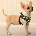 Reflective Nylon Harness Vest for Small to Medium Dogs and Cats-My Little Pet