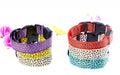 LED Nylon Dog Collar - Night Safety with Flashing Lights-My Little Pet