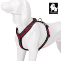 Truelove Reflective No-Pull Dog Harness - Tactical Military Training Design with Neoprene Padding and Adjustable Comfort Mesh-My Little Pet