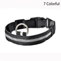 Leopard LED Adjustable Dog Collar - Night Safety Glowing Pet Collar-My Little Pet