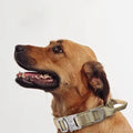 Reflective Nylon Dog Collar and Leash Set for Large Dogs - Tactical Training Gear-My Little Pet