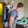 Durable Camouflage Backpack Carrier for Medium to Large Dogs-My Little Pet