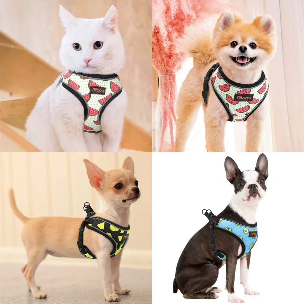 Reflective Nylon Harness Vest for Small to Medium Dogs and Cats-My Little Pet