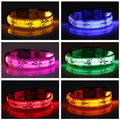 LED Safety Dog Collar - Night Visibility & Adjustable-My Little Pet