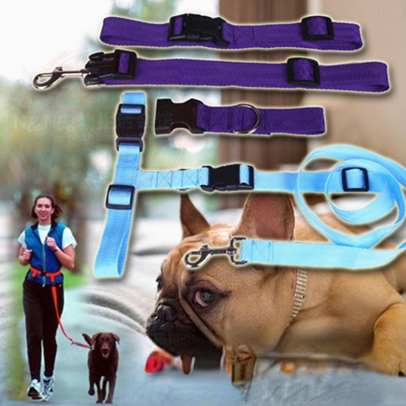 Hands-Free Adjustable Dog Leash for Active Owners-My Little Pet