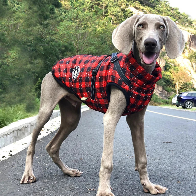 Winter Fleece Dog Jacket with Integrated Harness-My Little Pet