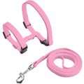 Cat Harness and Leash Set – Lightweight and Adjustable for Outdoor Adventures-My Little Pet