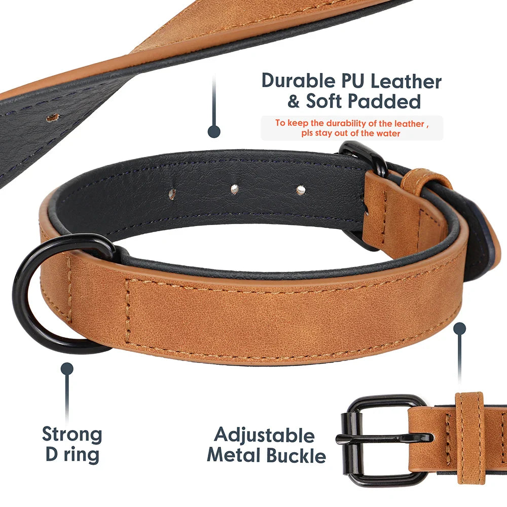 Premium Leather Dog Collar for Large Breeds-My Little Pet