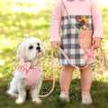 Adjustable Bowknot Dog Collar and Harness Set with Matching Leash-My Little Pet