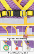 Reflective Nylon Dog Harness and Leash Set for Small to Medium Dogs and Cats-My Little Pet