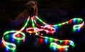 Rechargeable LED Dog Leash for Enhanced Nighttime Safety-My Little Pet