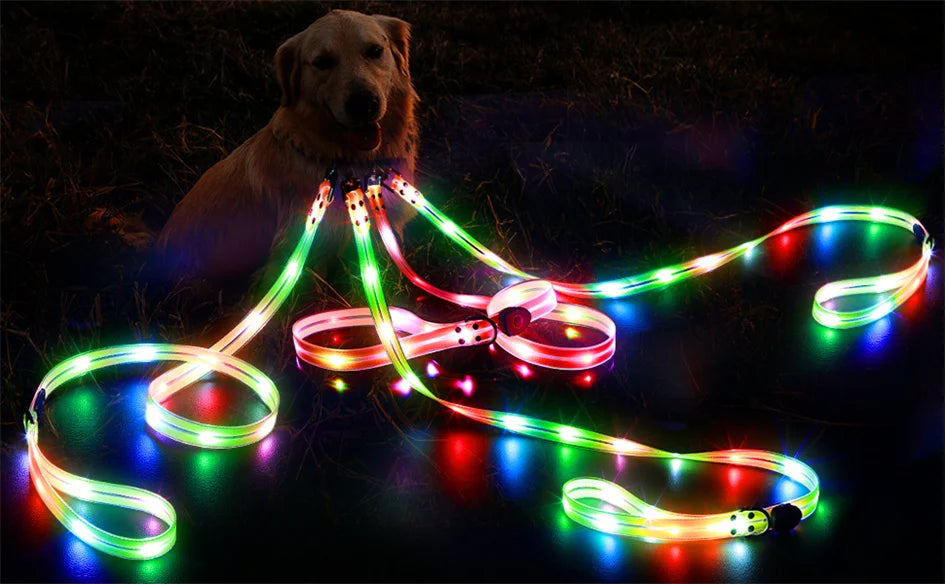 Rechargeable LED Dog Leash for Enhanced Nighttime Safety-My Little Pet