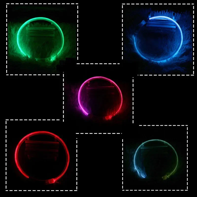 Rechargeable LED Dog Collar - High Visibility & Adjustable-My Little Pet